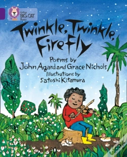 Capa do artigo Twinkle Twinkle Firefly_Big Ca