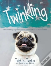 Capa do artigo Twinkling