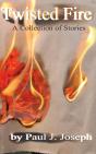 Twisted Fire: Stories From The Inner Fla - Preview