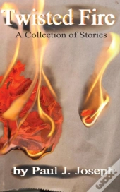 Twisted Fire: Stories From The Inner Fla