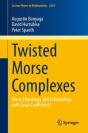 Twisted Morse Complexes - Preview