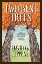 Two Bent Trees - Preview