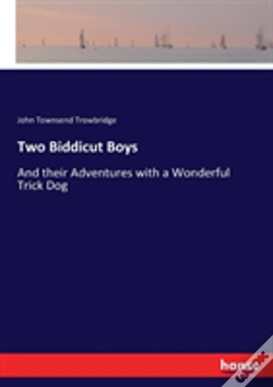 Capa do artigo Two Biddicut Boys