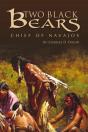 Two Black Bears - Preview