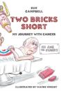Two Bricks Short: My Journey With Cancer - Preview