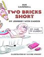 Two Bricks Short: My Journey With Cancer - Preview