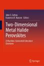 Two-Dimensional Metal Halide Perovskites - Preview