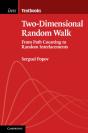 Two-Dimensional Random Walk - Preview