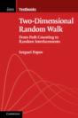 Two-Dimensional Random Walk - Preview