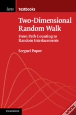 Capa do artigo Two-Dimensional Random Walk