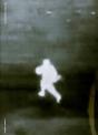 Two Donkeys In A War Zone - Preview