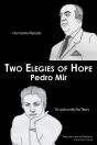 Two Elegies Of Hope - Preview