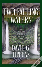 Capa do artigo Two Falling Waters