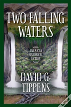 Capa do artigo Two Falling Waters
