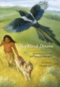 Two Hawk Dreams - Preview