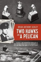 Two Hawks And A Pelican