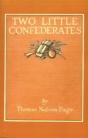 Two Little Confederates - Preview