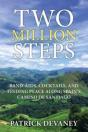 Two Million Steps - Preview
