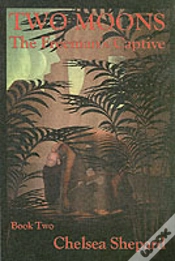 Capa do artigo Two Moons