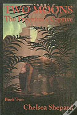 Capa do artigo Two Moons