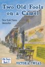 Two Old Fools On A Camel: From Spain To - Preview