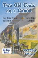 Two Old Fools On A Camel - Large Print