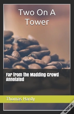 Capa do artigo Two On A Tower Annotated