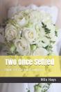 Two Once Settled: Book 3 - The Final Sun - Preview
