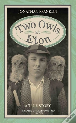Capa do artigo Two Owls At Eton - A True Story