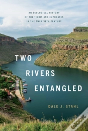 Capa do artigo Two Rivers Entangled