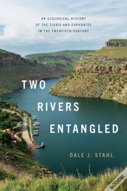 Capa do artigo Two Rivers Entangled