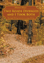 Two Roads Diverged And I Took Both: Mean - Preview
