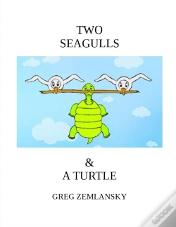 Capa do artigo Two Seagulls & A Turtle