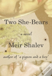 Capa do artigo Two She-Bears