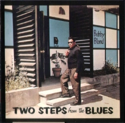 Capa do artigo Two Steps From The Blues - CD