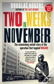 Capa do artigo Two Weeks In November