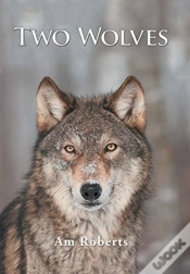 Capa do artigo Two Wolves