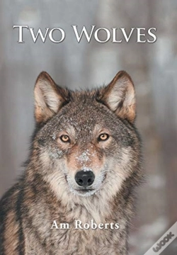 Capa do artigo Two Wolves