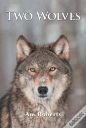 Capa do artigo Two Wolves