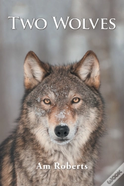 Capa do artigo Two Wolves