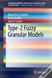 Capa do artigo Type-2 Fuzzy Granular Models
