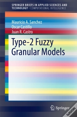 Capa do artigo Type-2 Fuzzy Granular Models