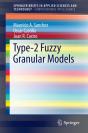 Type-2 Fuzzy Granular Models - Preview