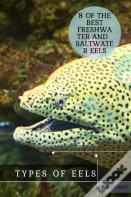 Types ÃÂ¾F Eels