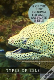 Capa do artigo Types ÃÂ¾F Eels
