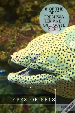 Capa do artigo Types ÃÂ¾F Eels