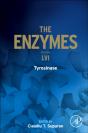 Tyrosinase - Preview