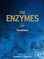 Tyrosinase - Preview
