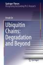 Ubiquitin Chains: Degradation And Beyond - Preview