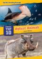 Ugliest Animals - Preview